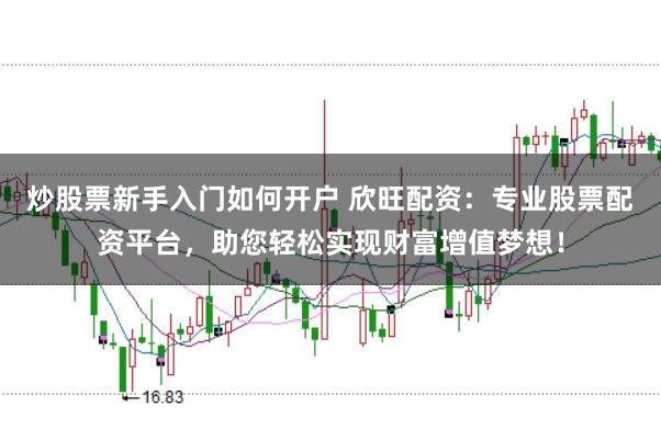 炒股票新手入门如何开户 欣旺配资：专业股票配资平台，助您轻松实现财富增值梦想！