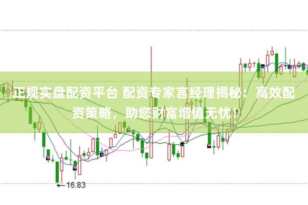 正规实盘配资平台 配资专家言经理揭秘：高效配资策略，助您财富增值无忧！