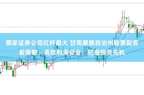 哪家证券公司杠杆最大 甘南藏族自治州股票配资新策略，高效利用资金，把握投资先机
