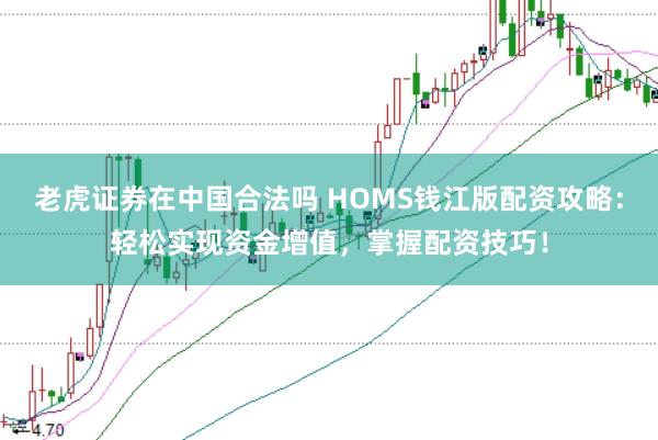 老虎证券在中国合法吗 HOMS钱江版配资攻略：轻松实现资金增值，掌握配资技巧！