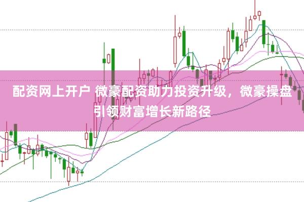 配资网上开户 微豪配资助力投资升级,微豪操盘引领财富增长新路径