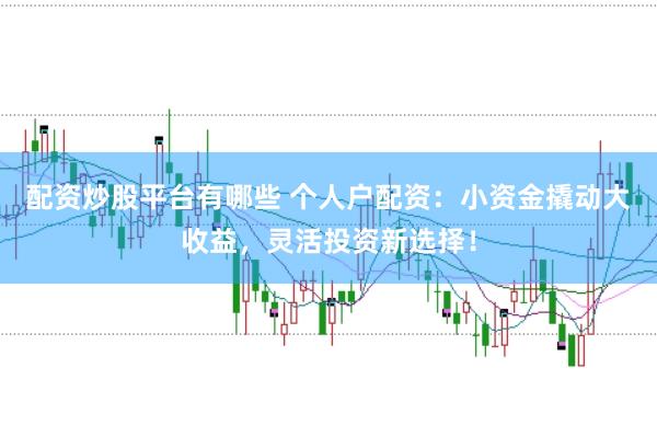配资炒股平台有哪些 个人户配资：小资金撬动大收益，灵活投资新选择！