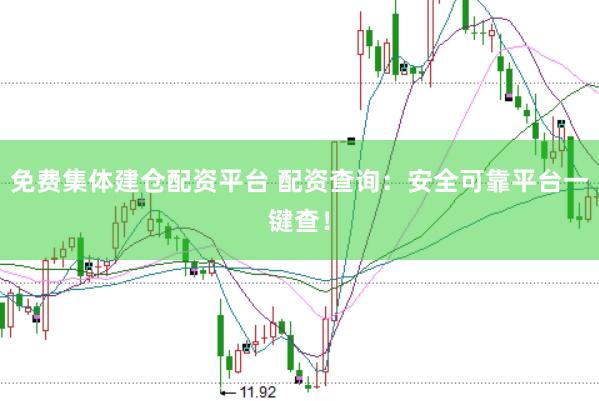 免费集体建仓配资平台 配资查询：安全可靠平台一键查！