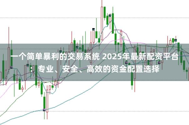 一个简单暴利的交易系统 2025年最新配资平台：专业、安全、高效的资金配置选择