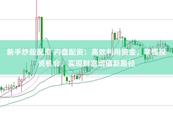 新手炒股配资 内盘配资：高效利用资金，掌握投资机会，实现财富增值新路径