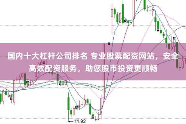 国内十大杠杆公司排名 专业股票配资网站，安全高效配资服务，助您股市投资更顺畅