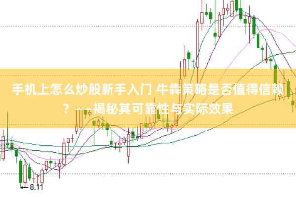 手机上怎么炒股新手入门 牛犇策略是否值得信赖？——揭秘其可靠性与实际效果