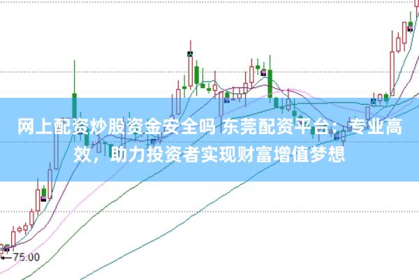 网上配资炒股资金安全吗 东莞配资平台：专业高效，助力投资者实现财富增值梦想